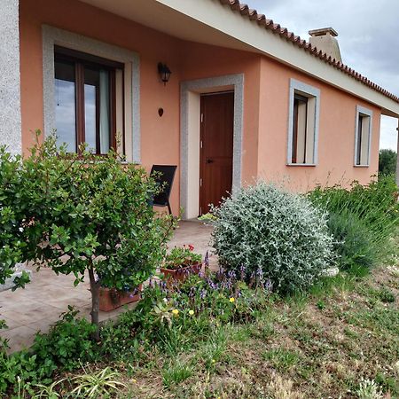 Agriturismo Gli Olivastri -Appartamento Bel Vedere Con Piscina ,Solarium E Vista Mare,Climatizzatore ,Wifi Aglientu Exteriér fotografie