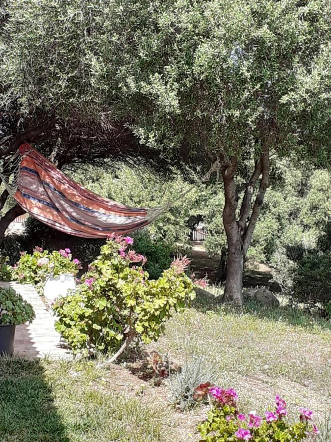 Agriturismo Gli Olivastri -Appartamento Bel Vedere Con Piscina ,Solarium E Vista Mare,Climatizzatore ,Wifi Aglientu Exteriér fotografie