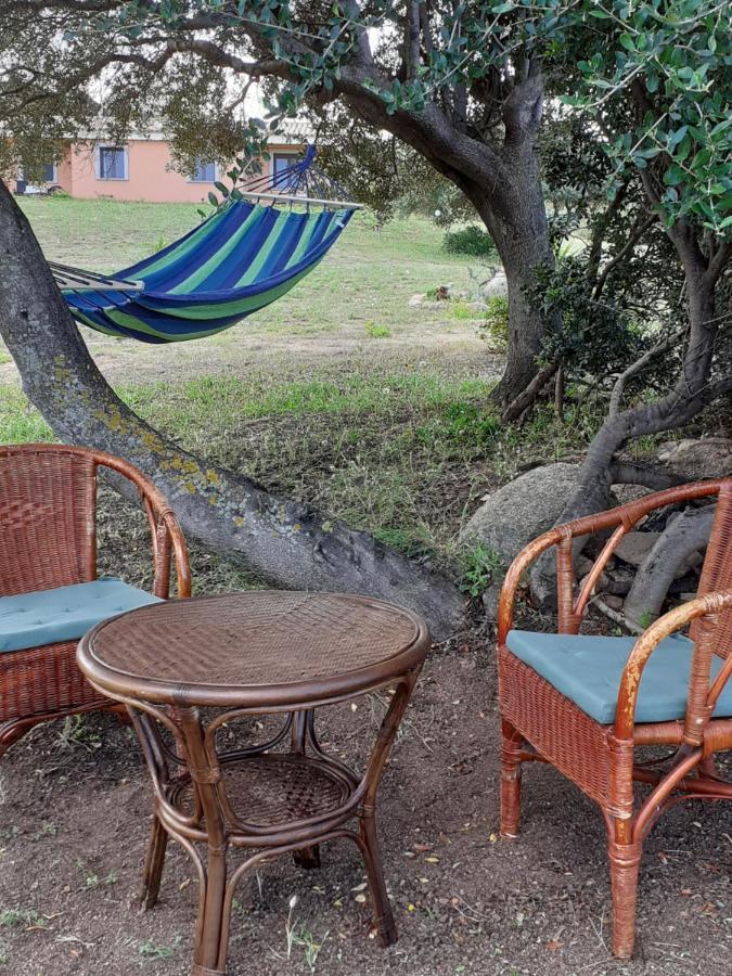 Agriturismo Gli Olivastri -Appartamento Bel Vedere Con Piscina ,Solarium E Vista Mare,Climatizzatore ,Wifi Aglientu Exteriér fotografie