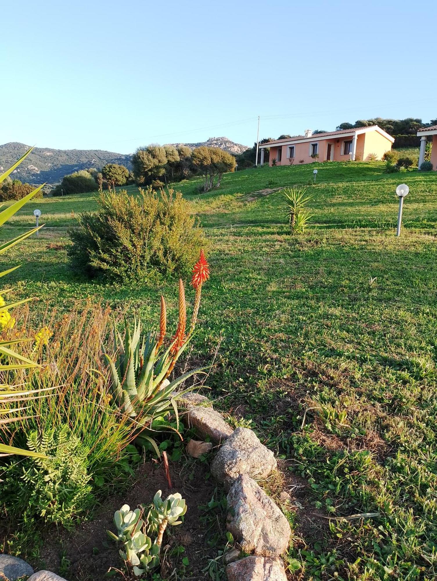 Agriturismo Gli Olivastri -Appartamento Bel Vedere Con Piscina ,Solarium E Vista Mare,Climatizzatore ,Wifi Aglientu Exteriér fotografie